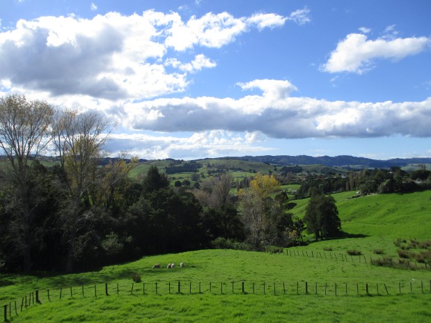 Jim in NZ May 2017 003