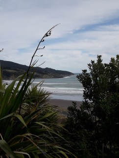 Raglan coast